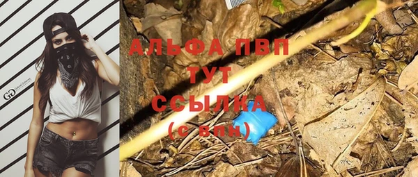 экстази Арсеньев