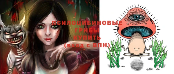 дурь Аркадак