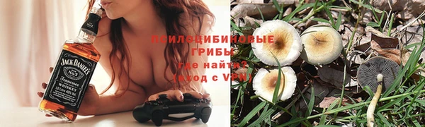 экстази Арсеньев
