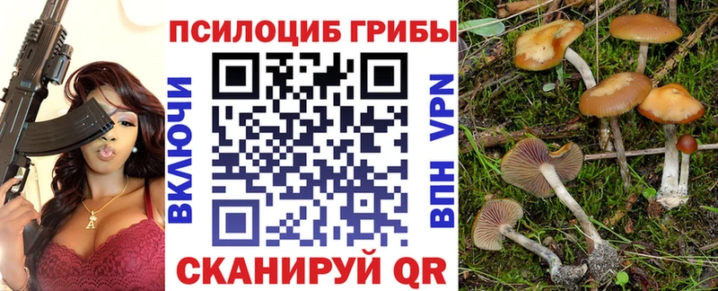 где купить   blacksprut ссылки  Галлюциногенные грибы Psilocybe  Спасск-Дальний 